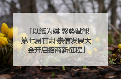 以纸为媒 聚势赋能 第七届甘肃·崇信发展大会开启招商新征程