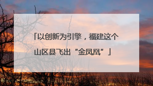 以创新为引擎，福建这个山区县飞出“金凤凰”
