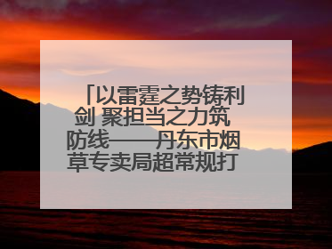以雷霆之势铸利剑 聚担当之力筑防线——丹东市烟草专卖局超常规打假打私工作纪实
