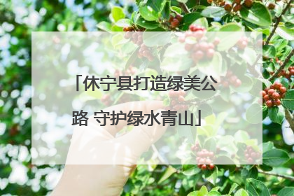 休宁县打造绿美公路 守护绿水青山
