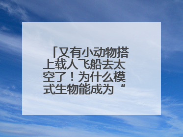 又有小动物搭上载人飞船去太空了！为什么模式生物能成为“探索代表”？