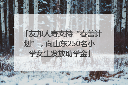 友邦人寿支持“春蕾计划”，向山东250名小学女生发放助学金