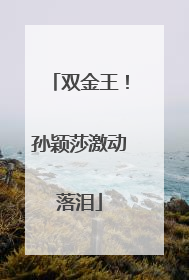双金王！孙颖莎激动落泪