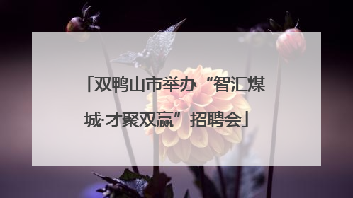双鸭山市举办“智汇煤城·才聚双赢”招聘会