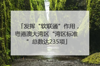 发挥“软联通”作用，粤港澳大湾区“湾区标准”总数达235项