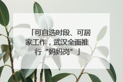 可自选时段、可居家工作，武汉全面推行“妈妈岗”