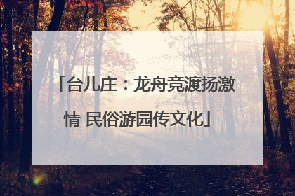 台儿庄：龙舟竞渡扬激情 民俗游园传文化