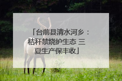 台前县清水河乡：秸秆禁烧护生态 三夏生产保丰收