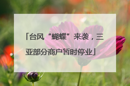 台风“蝴蝶”来袭，三亚部分商户暂时停业