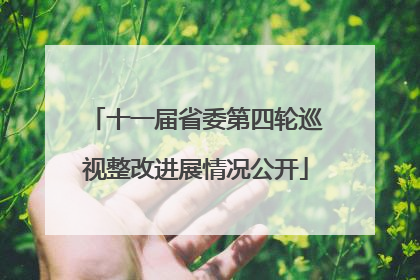 十一届省委第四轮巡视整改进展情况公开