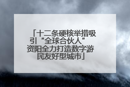 十二条硬核举措吸引“全球合伙人” 资阳全力打造数字游民友好型城市