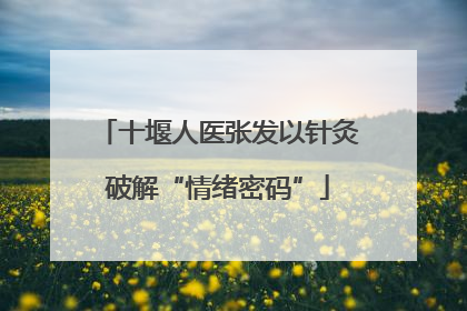 十堰人医张发以针灸破解“情绪密码”