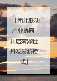 南北联动产业协同 开启菏泽牡丹发展新模式