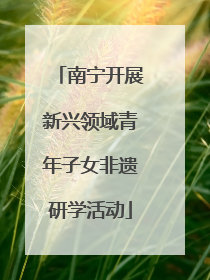 南宁开展新兴领域青年子女非遗研学活动
