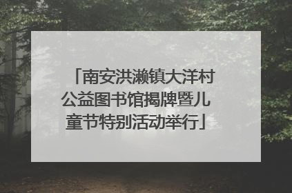 南安洪濑镇大洋村公益图书馆揭牌暨儿童节特别活动举行