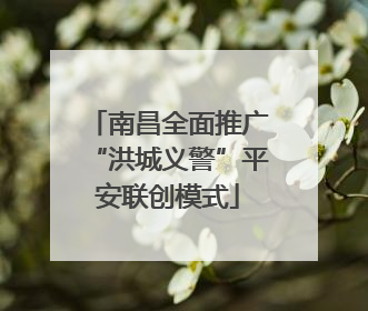 南昌全面推广“洪城义警”平安联创模式