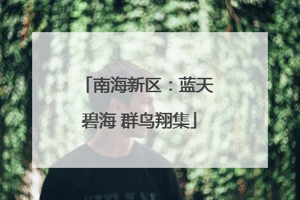 南海新区：蓝天碧海 群鸟翔集