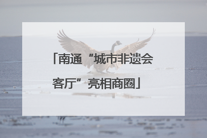 南通“城市非遗会客厅”亮相商圈