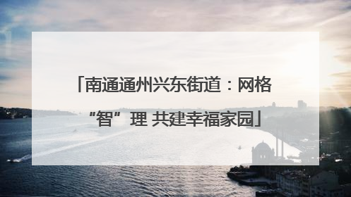 南通通州兴东街道：网格“智”理 共建幸福家园