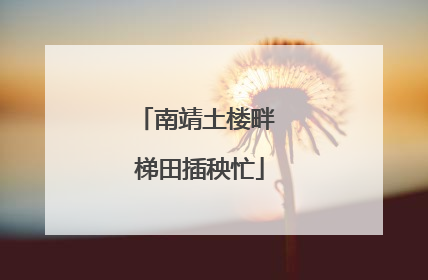 南靖土楼畔 梯田插秧忙