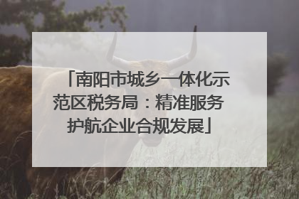 南阳市城乡一体化示范区税务局：精准服务护航企业合规发展