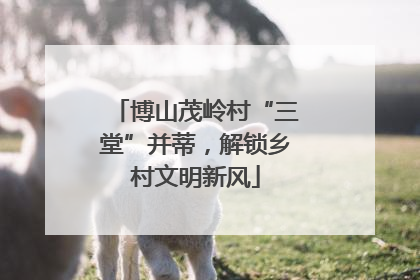 博山茂岭村“三堂”并蒂，解锁乡村文明新风