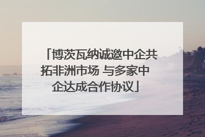 博茨瓦纳诚邀中企共拓非洲市场 与多家中企达成合作协议