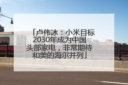 卢伟冰：小米目标2030年成为中国头部家电，非常期待和美的海尔并列