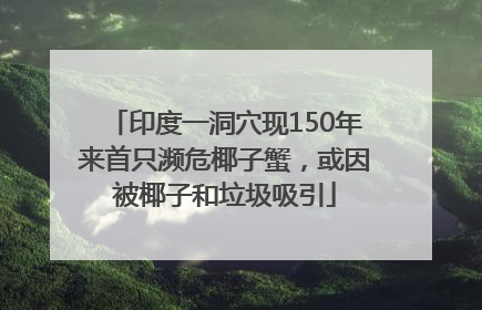 印度一洞穴现150年来首只濒危椰子蟹，或因被椰子和垃圾吸引