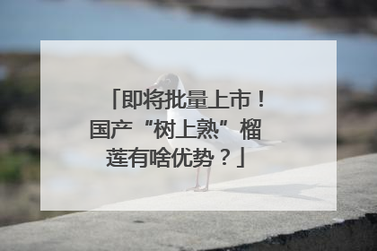 即将批量上市！国产“树上熟”榴莲有啥优势？