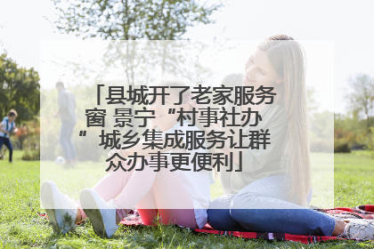 县城开了老家服务窗 景宁“村事社办”城乡集成服务让群众办事更便利