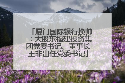厦门国际银行换帅：大股东福建投资集团党委书记、董事长王非出任党委书记
