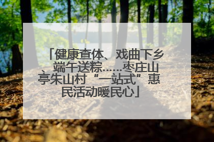 健康查体、戏曲下乡、端午送粽……枣庄山亭朱山村“一站式”惠民活动暖民心