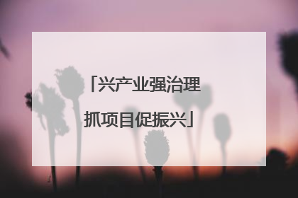 兴产业强治理 抓项目促振兴