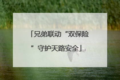 兄弟联动“双保险”守护天路安全