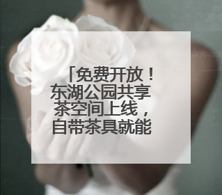 免费开放！东湖公园共享茶空间上线，自带茶具就能泡茶话仙