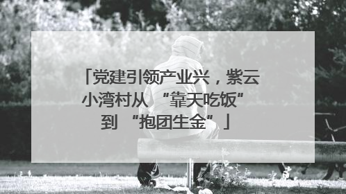 党建引领产业兴，紫云小湾村从 “靠天吃饭” 到 “抱团生金”