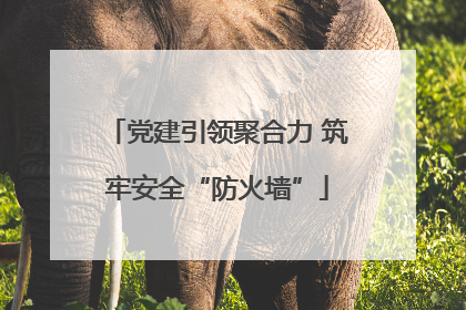党建引领聚合力 筑牢安全“防火墙”