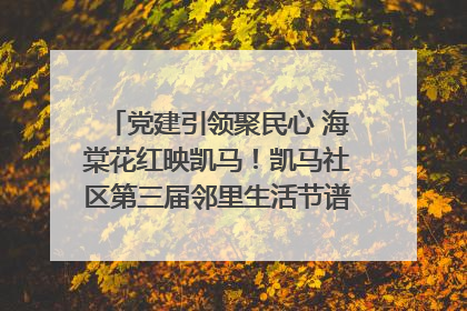 党建引领聚民心 海棠花红映凯马！凯马社区第三届邻里生活节谱写幸福新篇章