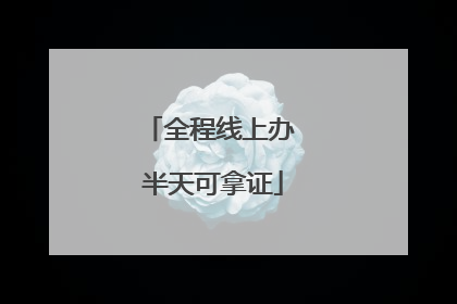 全程线上办 半天可拿证