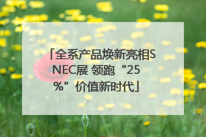 全系产品焕新亮相SNEC展 领跑“25%”价值新时代