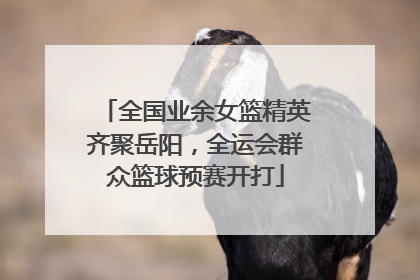 全国业余女篮精英齐聚岳阳，全运会群众篮球预赛开打