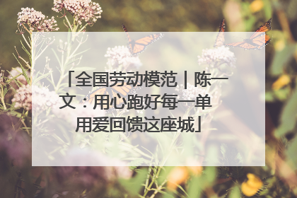 全国劳动模范｜陈一文：用心跑好每一单 用爱回馈这座城