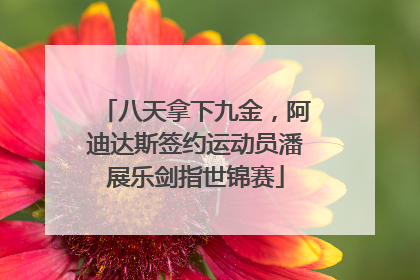 八天拿下九金，阿迪达斯签约运动员潘展乐剑指世锦赛