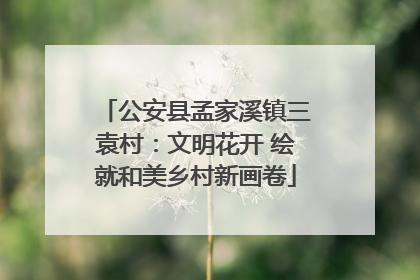 公安县孟家溪镇三袁村：文明花开 绘就和美乡村新画卷