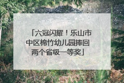 六冠闪耀！乐山市中区棉竹幼儿园捧回两个省级一等奖