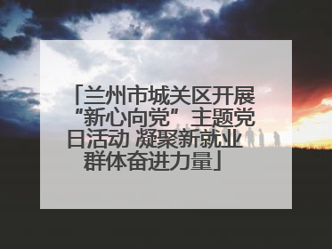 兰州市城关区开展“新心向党”主题党日活动 凝聚新就业群体奋进力量