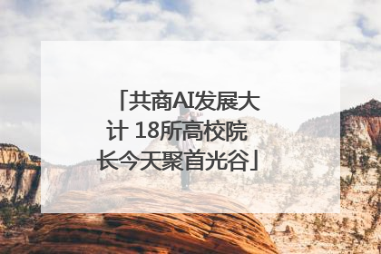 共商AI发展大计 18所高校院长今天聚首光谷