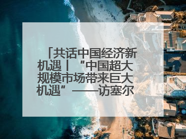 共话中国经济新机遇丨“中国超大规模市场带来巨大机遇”——访塞尔维亚经济部国务秘书尼科利奇