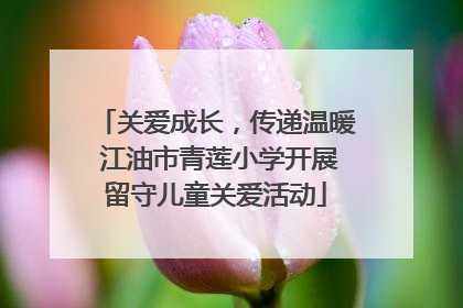 关爱成长，传递温暖 江油市青莲小学开展留守儿童关爱活动